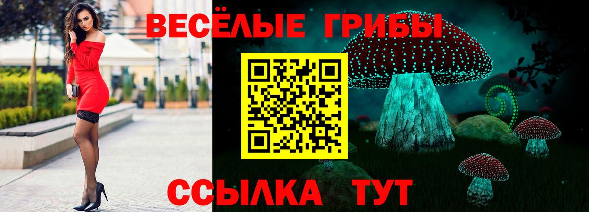 Псилоцибиновые грибы прущие грибы Томск
